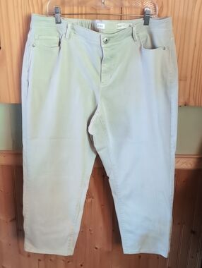 Light Sage Casual Stretch Pants